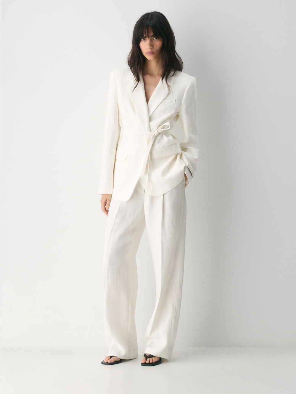 Aritzia Babaton Citadel Blazer - PowerLinen™